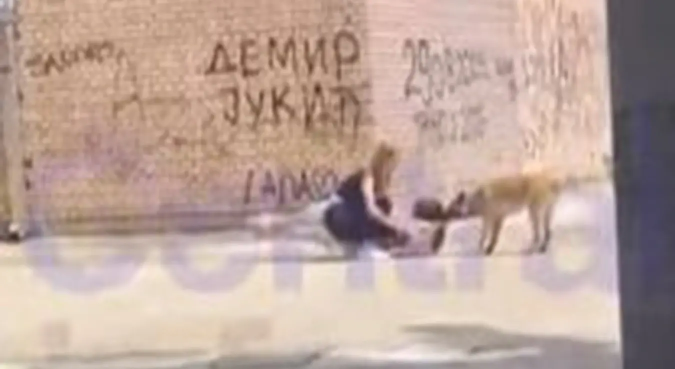 Узнемирујући снимак: Пас напао дјевојку у школском дворишту, вукао је по поду