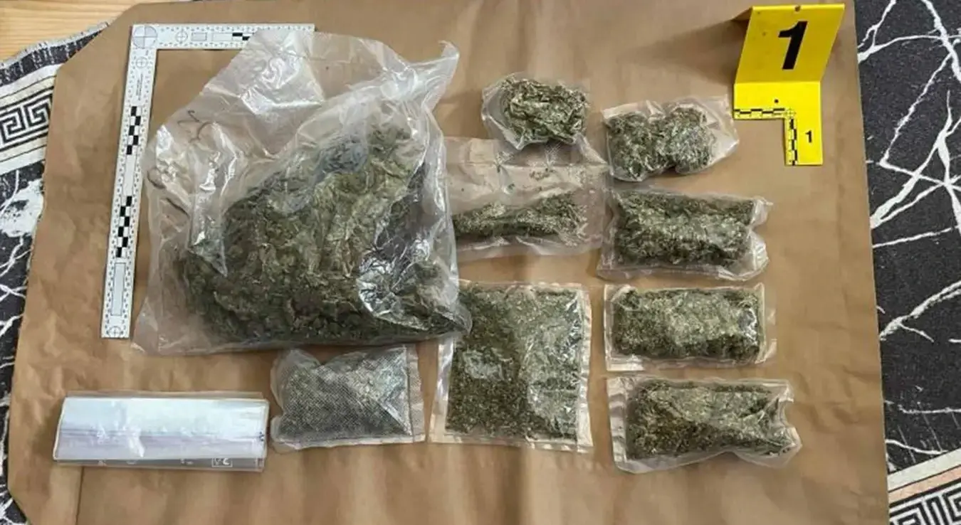 Дрога Акција Мицелиј