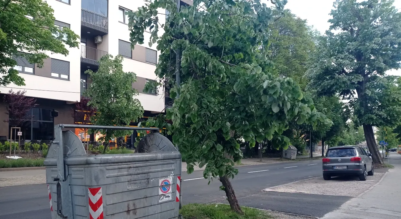 Стабло контејнер улична расвјета