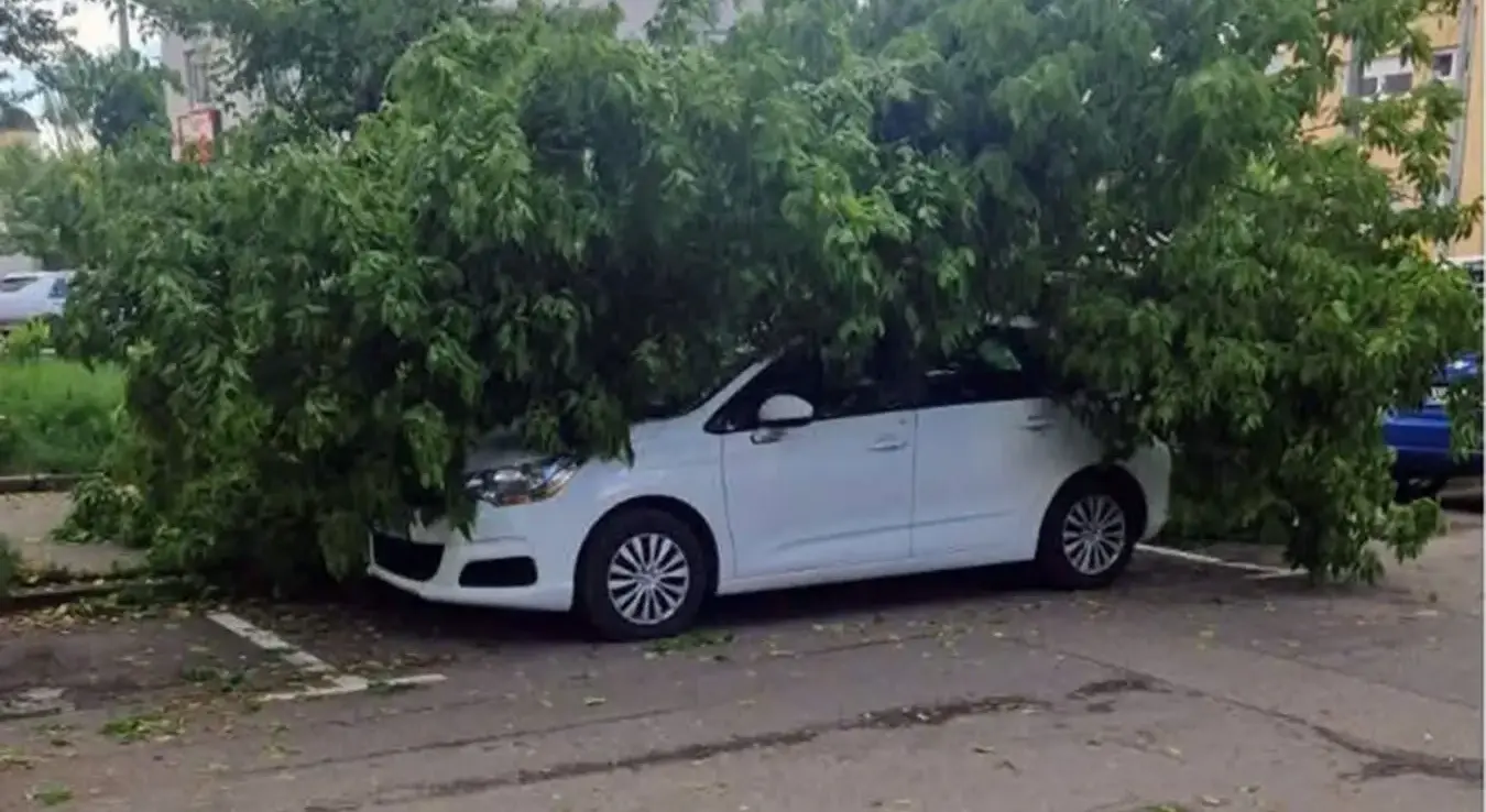 Дрво пало на аутомобил у Бањалуци