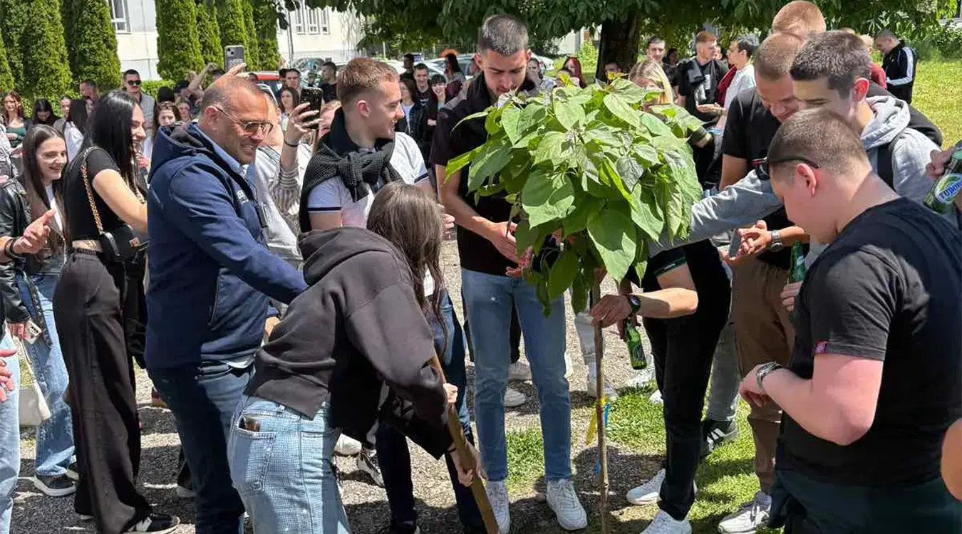 матуранти саде дрво