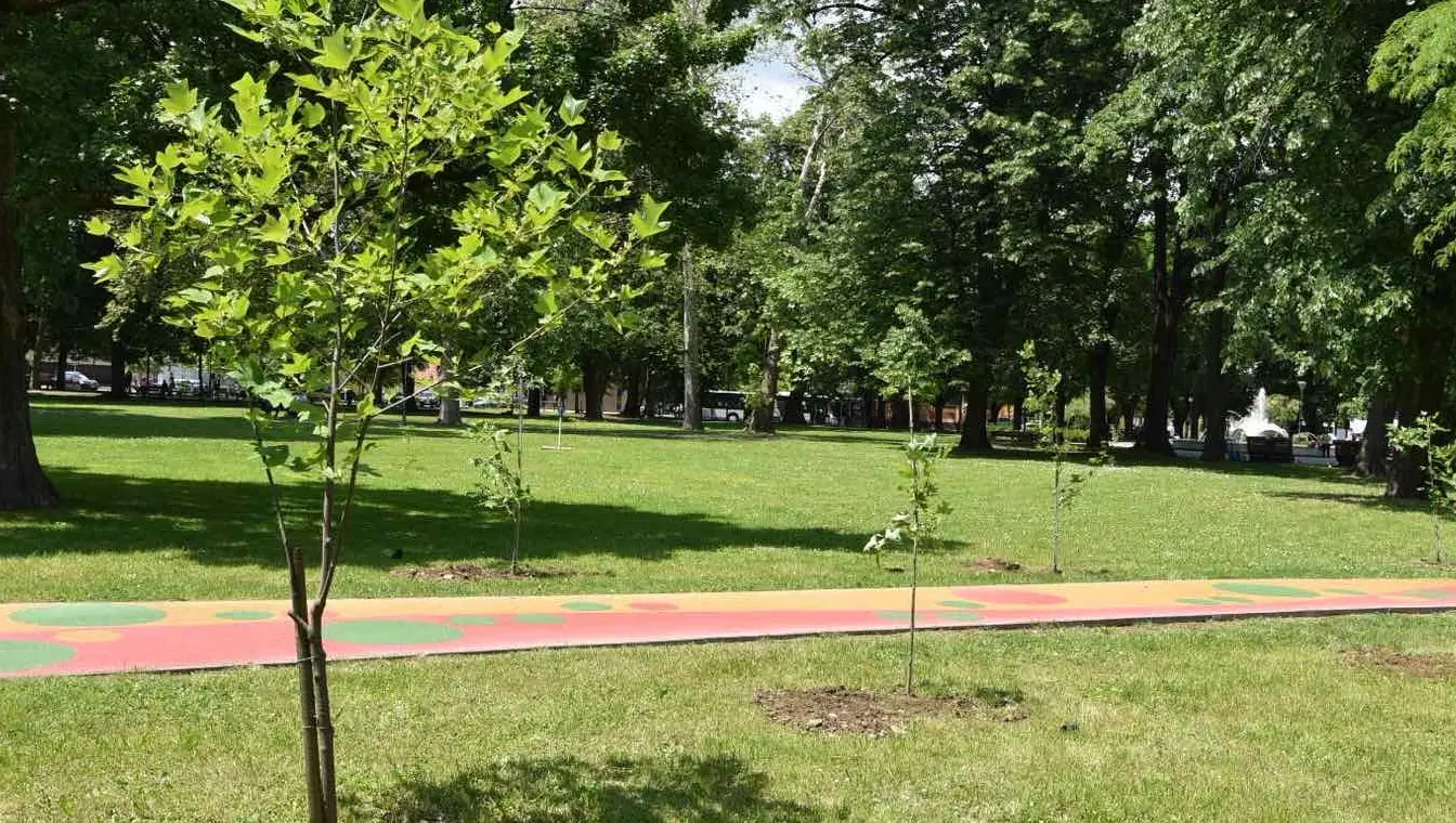 Алеја 12 беба