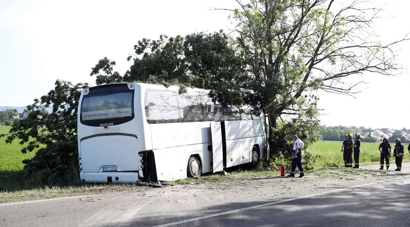 Аутобус са дјецом ударио у дрво, возач погинуо, повријеђене 23 особе: Језива саобраћајка у Мађарској