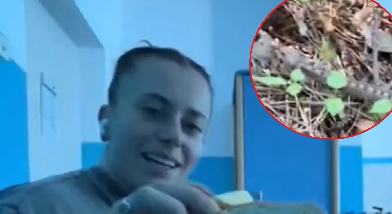 Дјевојку ујео поскок, она снимала борбу за живот