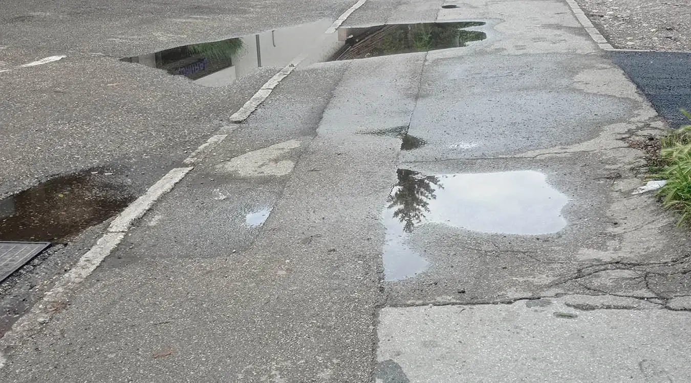 Ул Скендера Куленовића тротоар