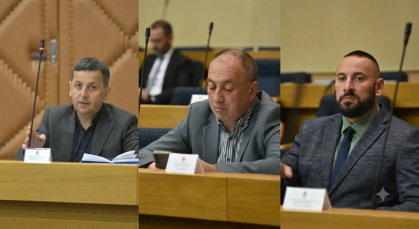 Нова свађа: Вукановић иде с Црнатком, Савановић напушта "За правду и ред"?
