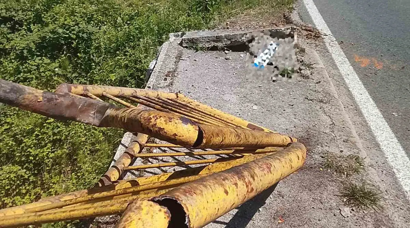 Удес Биљана Чекић