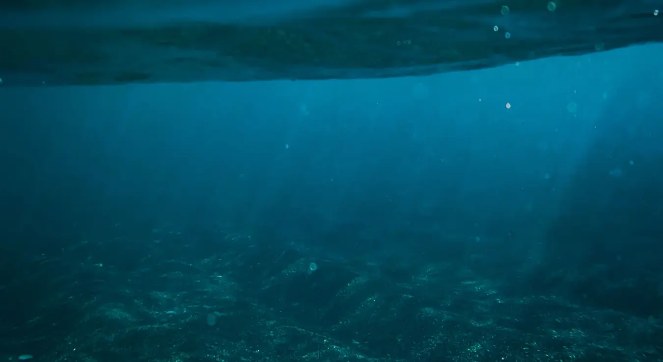 Море