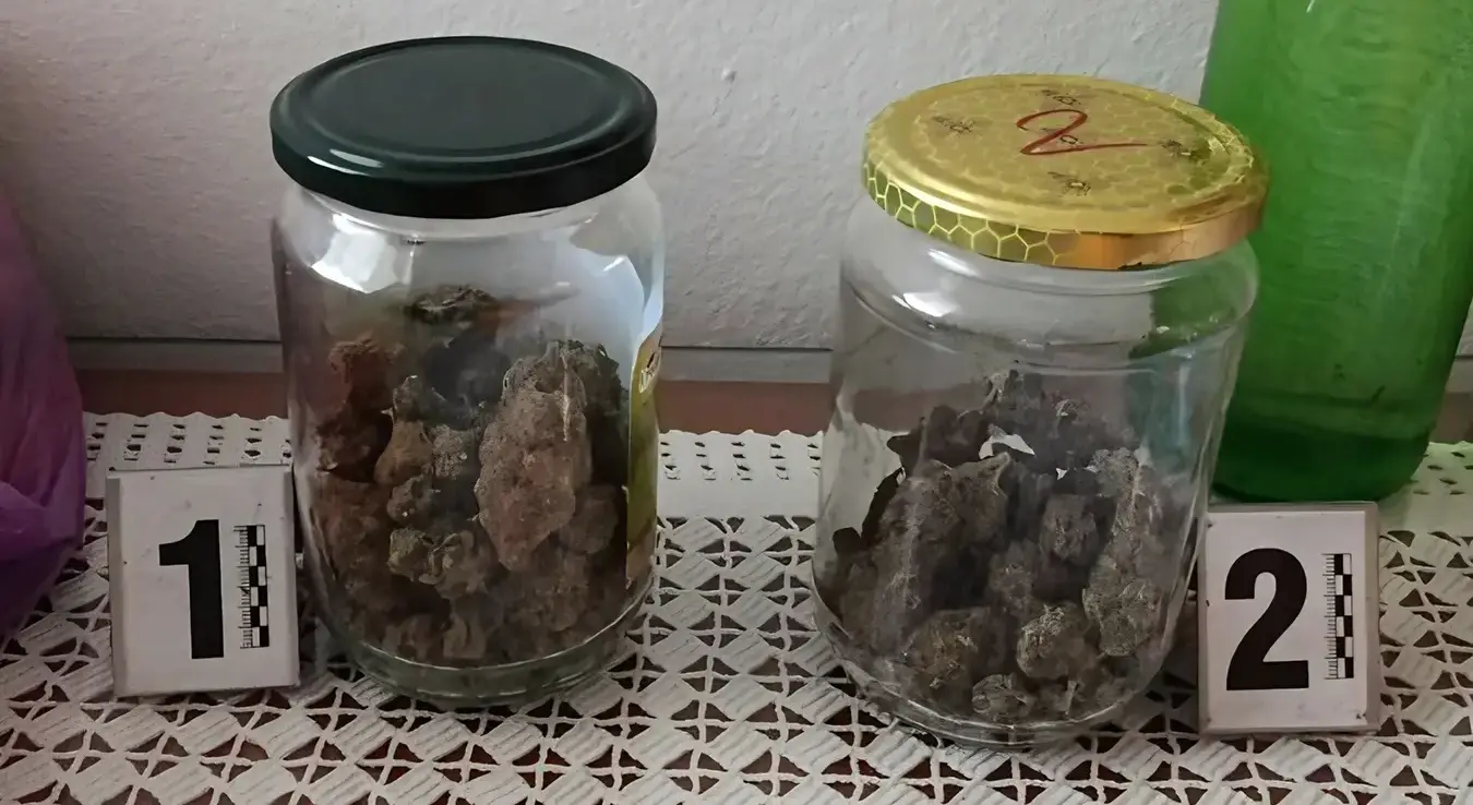 Заплијењена марихуана у акцији Пумба
