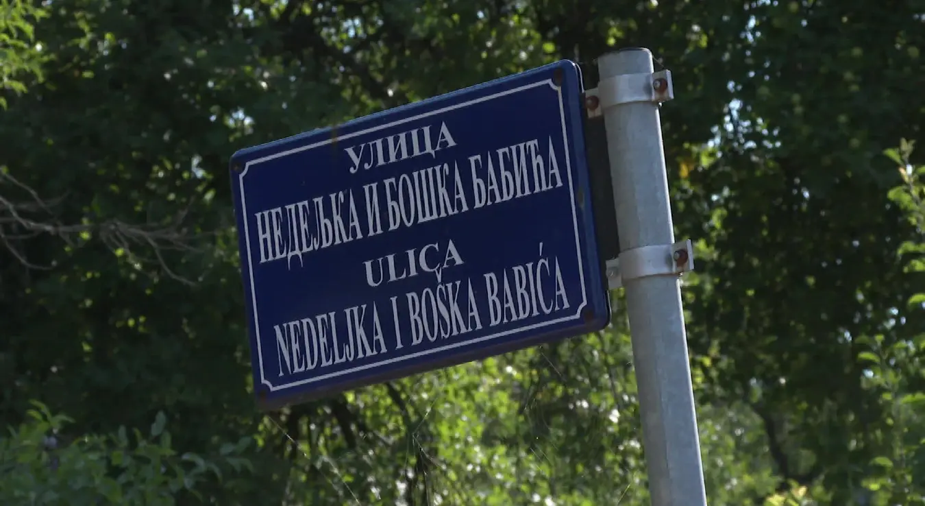 Чесма улице  Недељка и Бошка Бајића