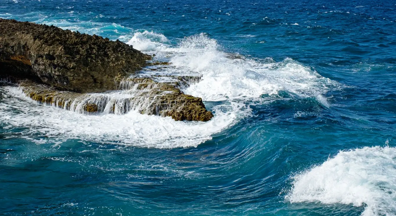 Море чине водене масе на површини Земље просјечно једнаких физикалних и хемијских својстава, које су у међусобној вези.