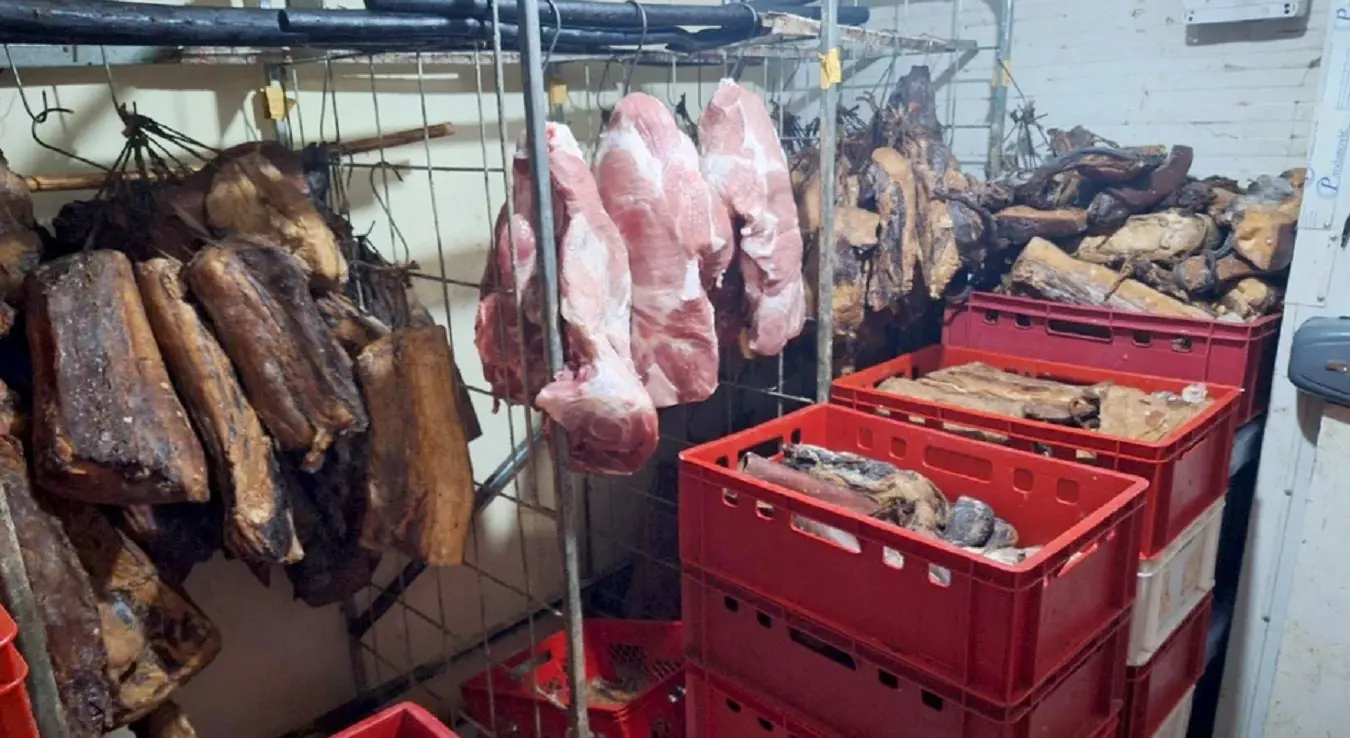 Пало прво хапшење због ширења афричке куге