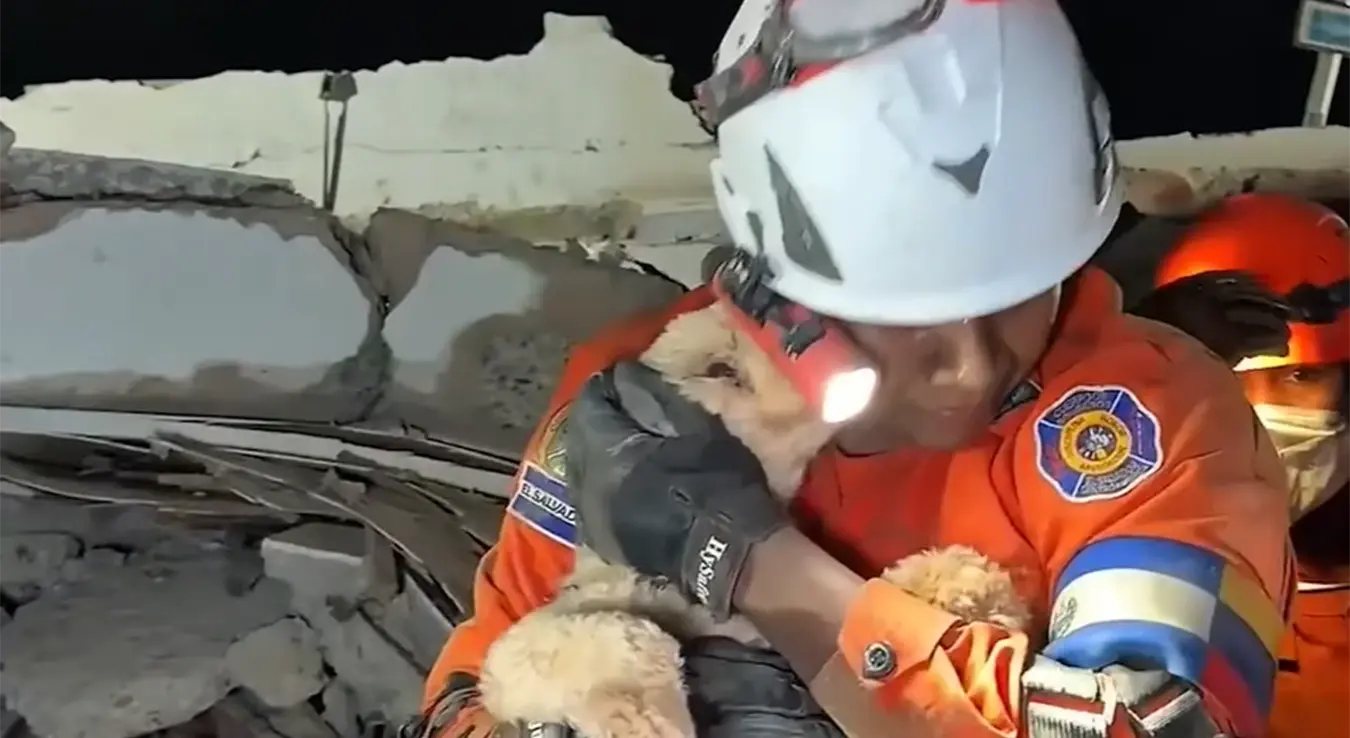 Пас извучен из рушевина Венецуела