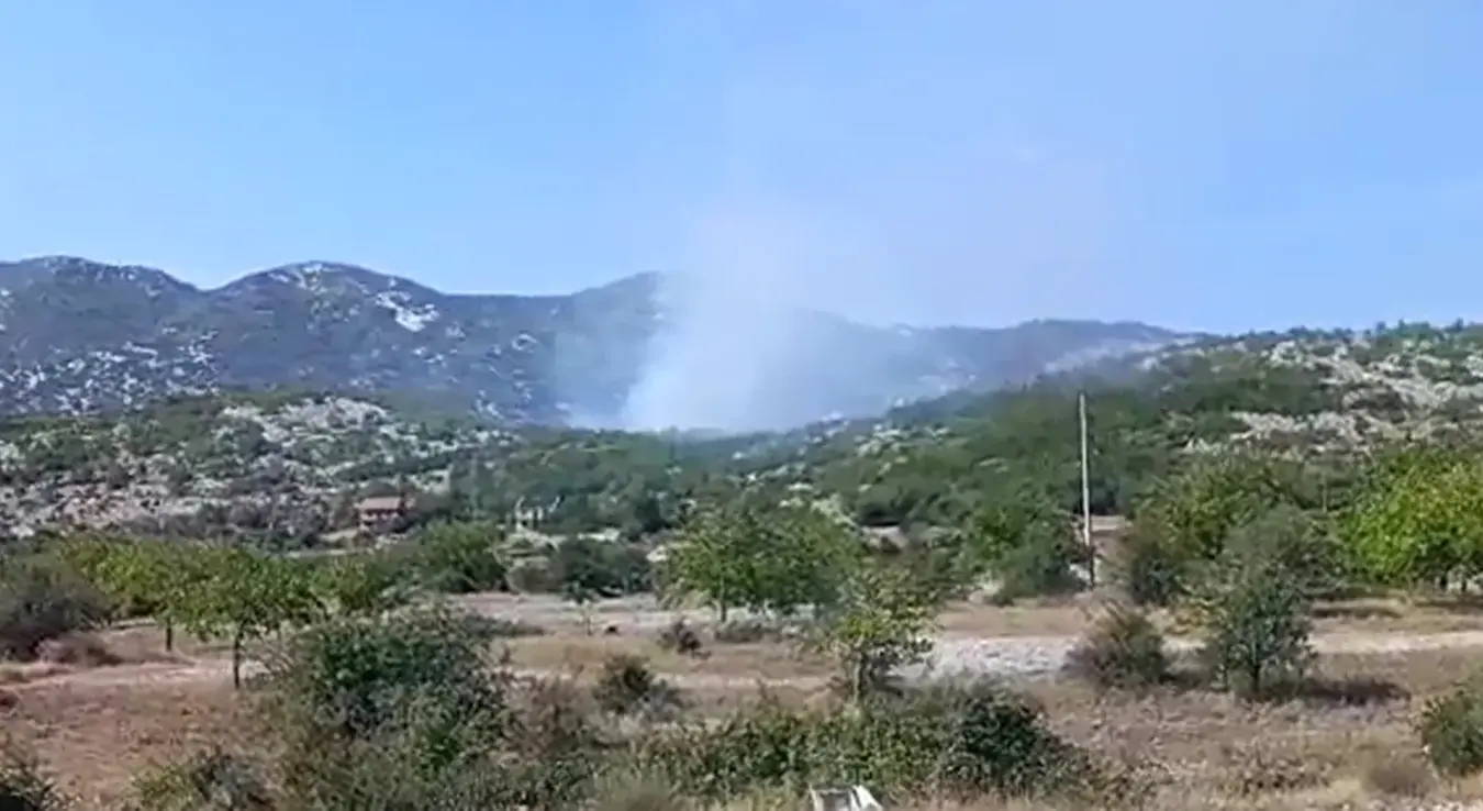 Пожар у подручју Зубаца