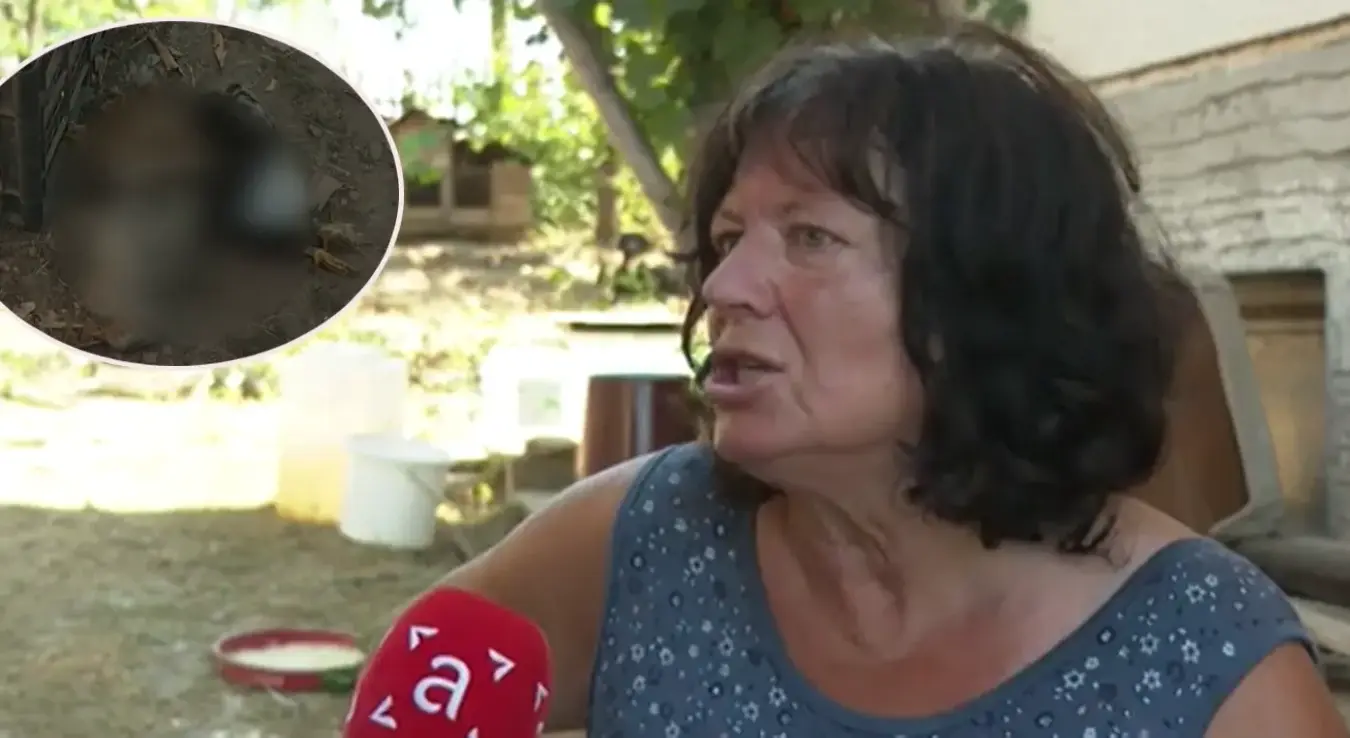 Анђа Бороја сабира штету због рестрикција воде