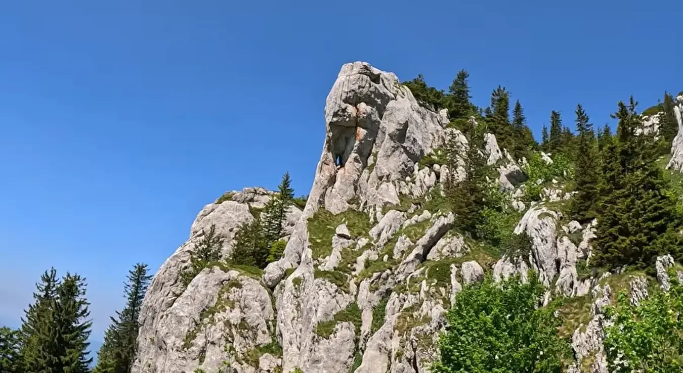 Врх планине Клековача.