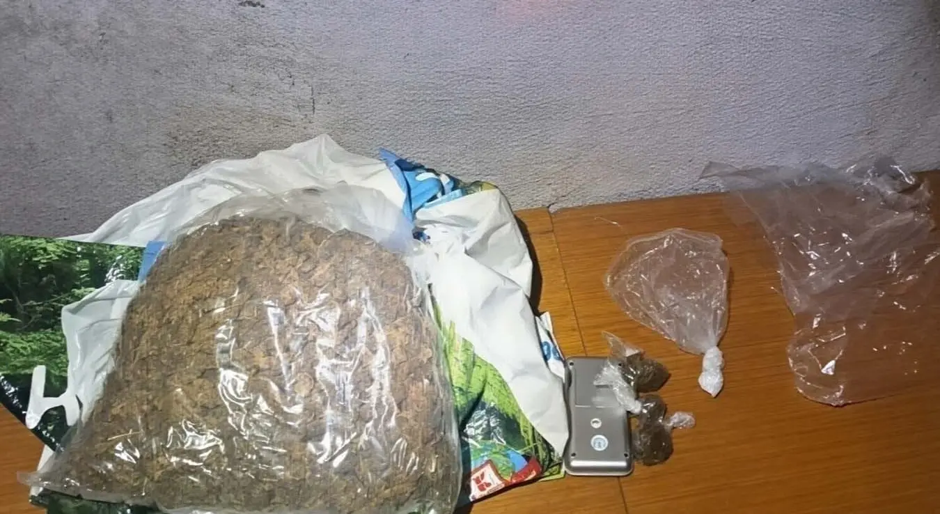 Хапшење акција Кацига