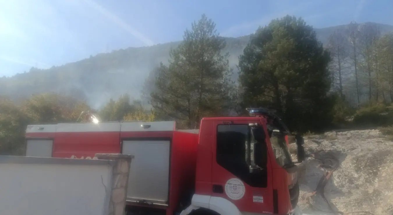 Ватрогасци гасе пожар на подручју Ластве.