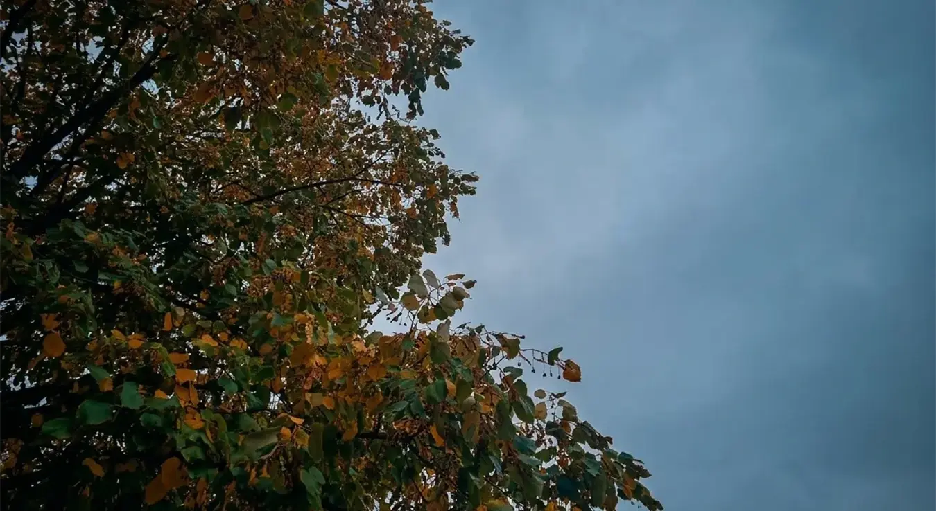 Облачно јесење јутро у Бањалуци.