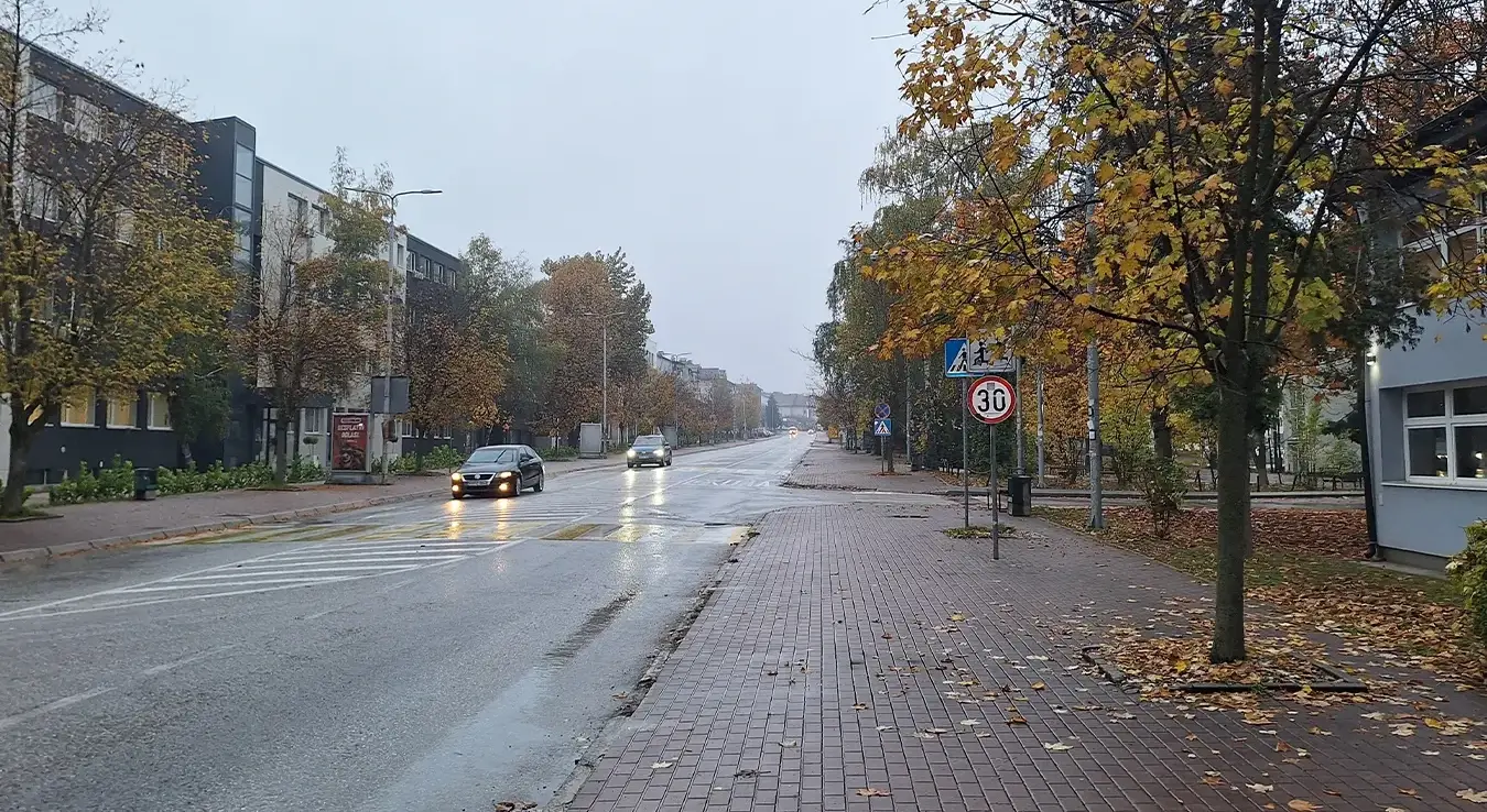 Фотографија улице током тмурног јесењег јутра.