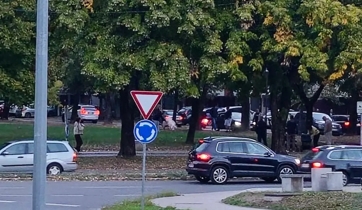 Прасе Старчевица
